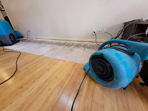 Professional Water Damage Repair technician working in Waterville, OH